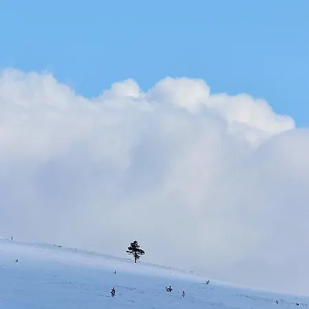 Siulanlumo * Saariselkä