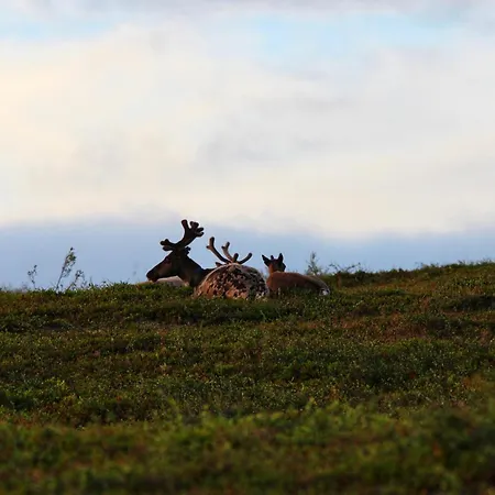 Lägenhet Siulanlumo