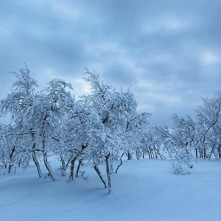Lejlighed Siulanlumo
