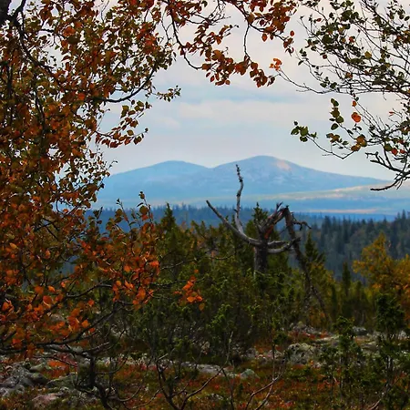 Siulanlumo Lägenhet Saariselkä