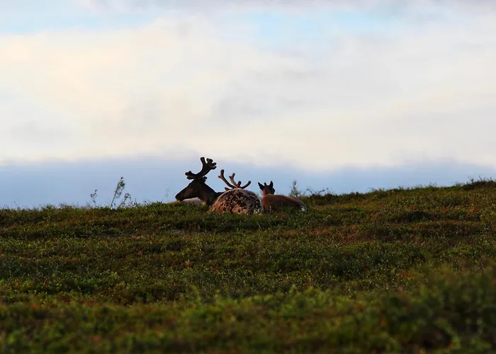 Appartement Siulanlumo