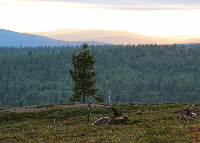 Appartement Siulanlumo Saariselkä