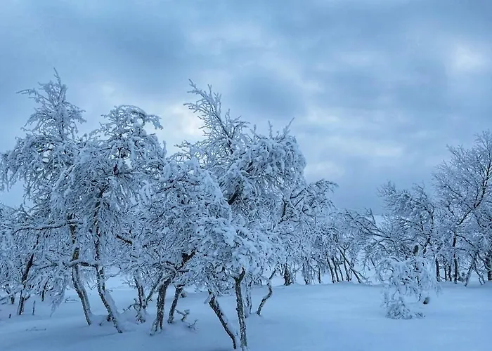 アパート Siulanlumo